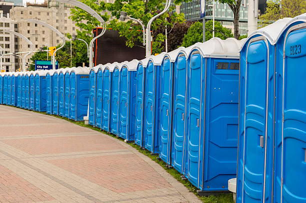 Best Portable Toilets with Baby Changing Stations  in Hamilton, MO